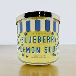 NEW Bath and Body Works 3 Wick Candle